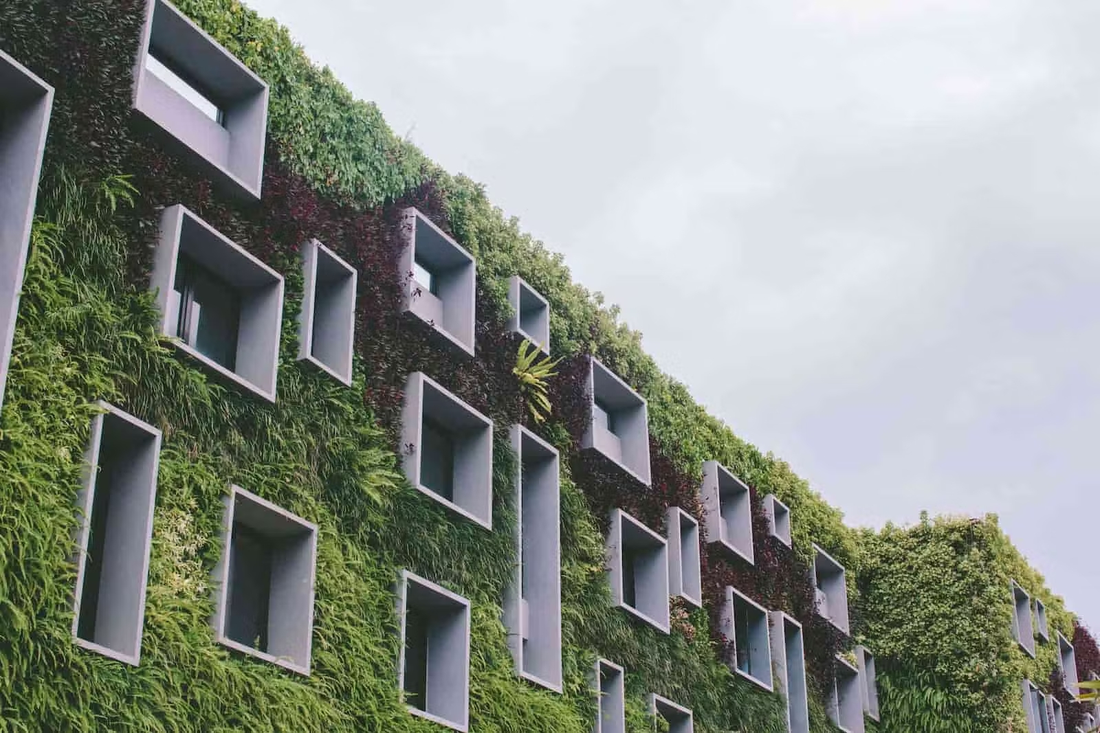 Les enjeux environnementaux dans le BTP - LEONARD Solutions